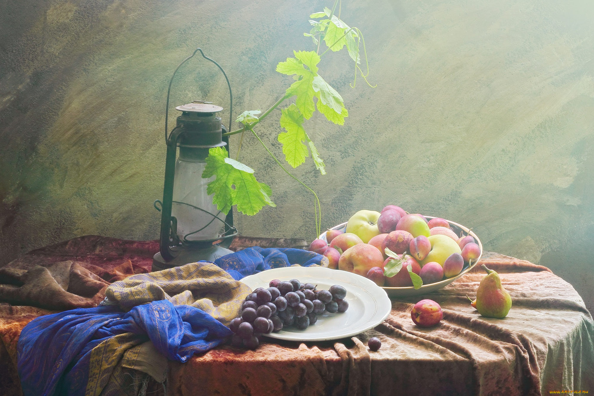 ���, ���������